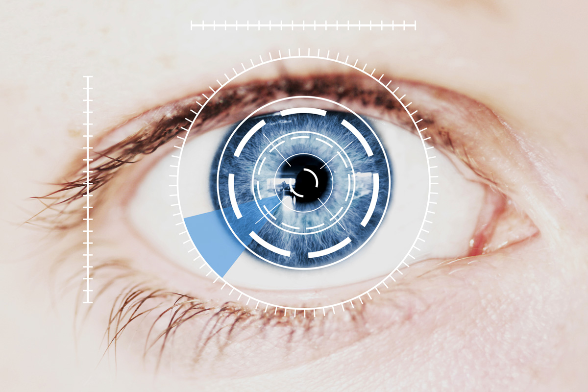 Controlled Adverse Environment Chambers in Dry Eye Research