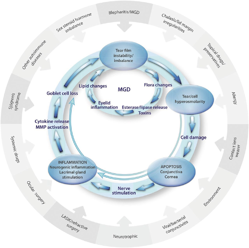 The vicious circles of DED