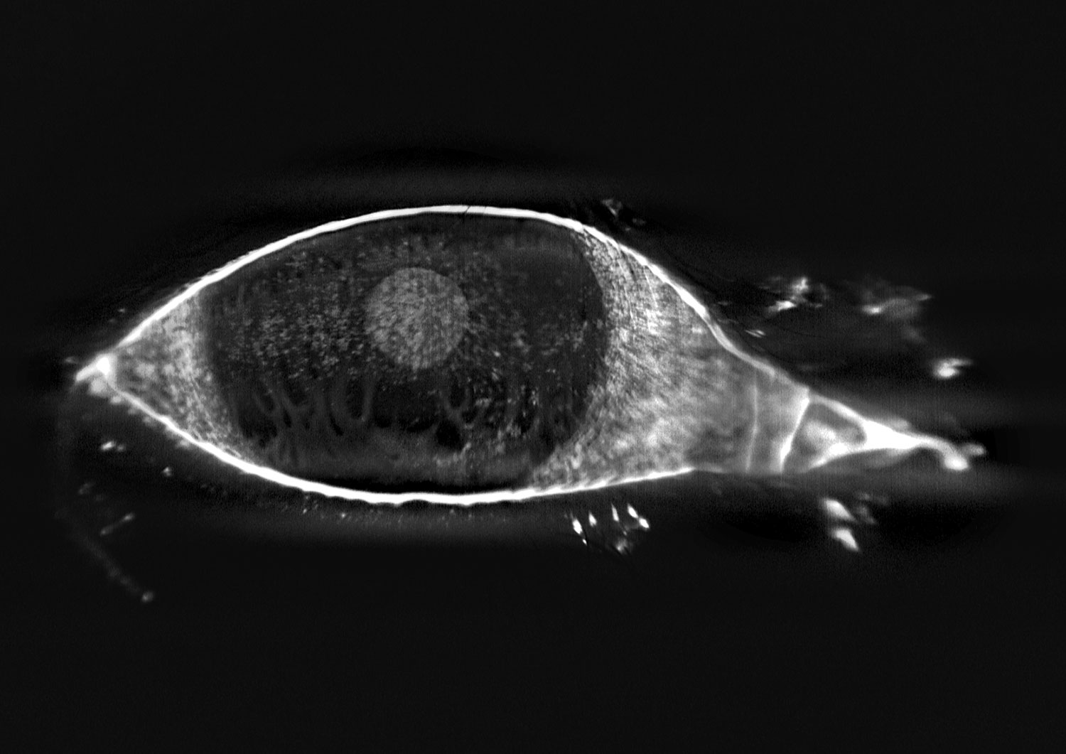 EUDEC - Photo contest 2023