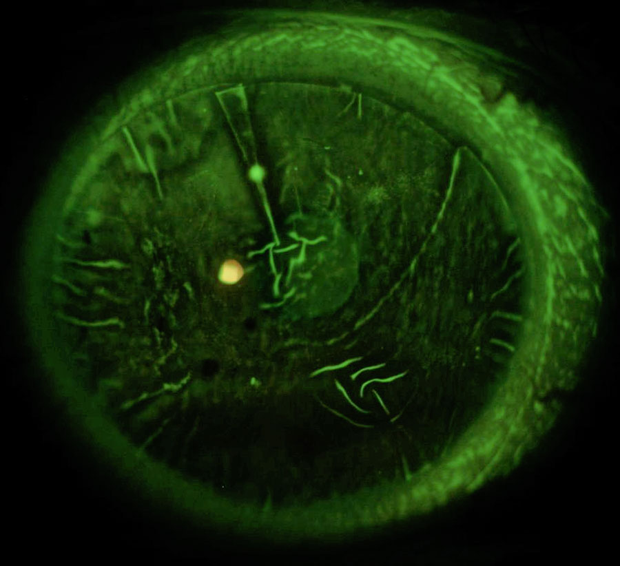 EUDEC - Photo contest 2023