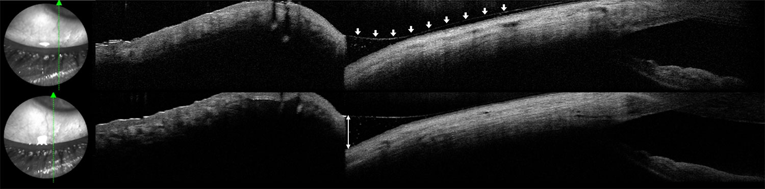 EUDEC - Photo contest 2023