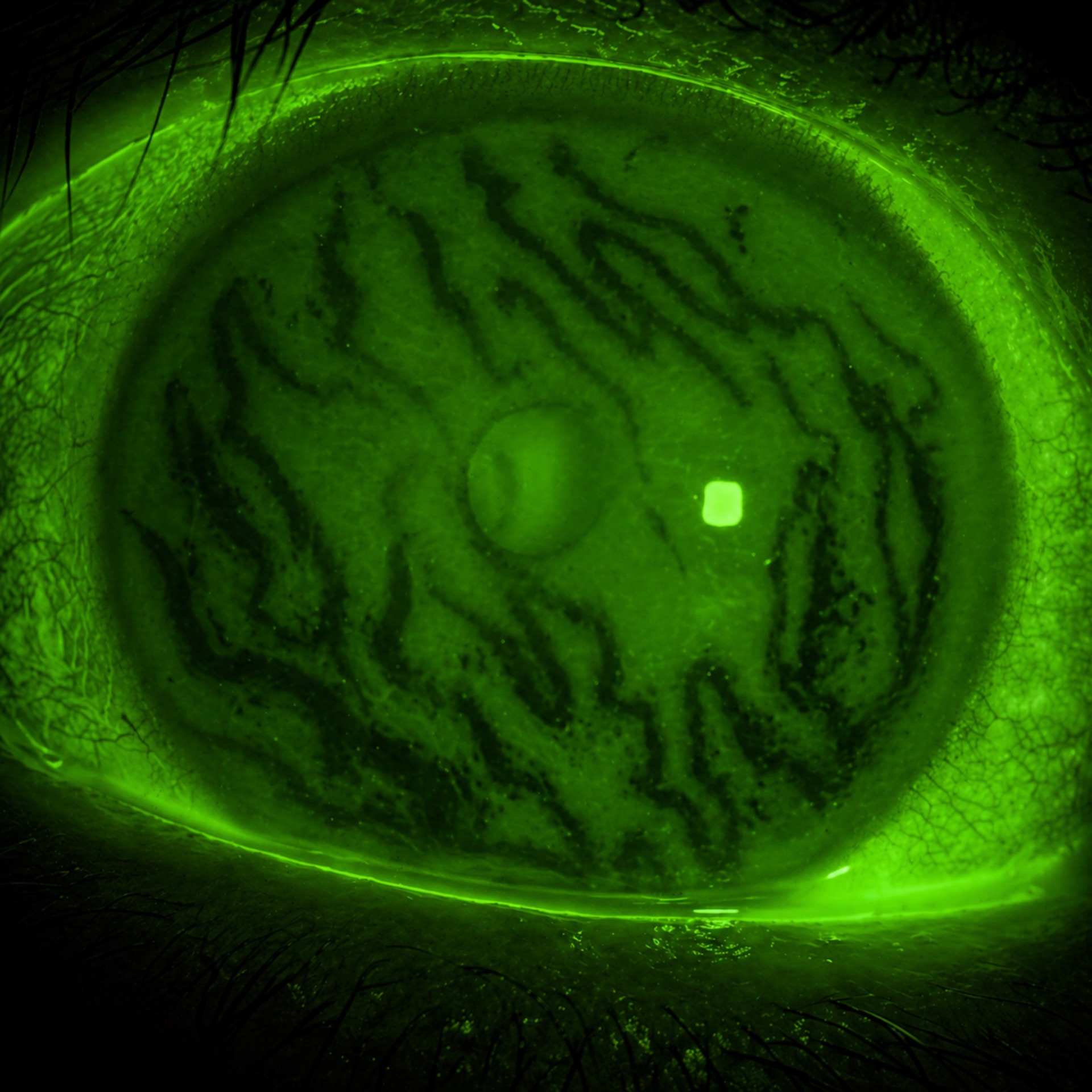 EUDEC - Photo contest 2023