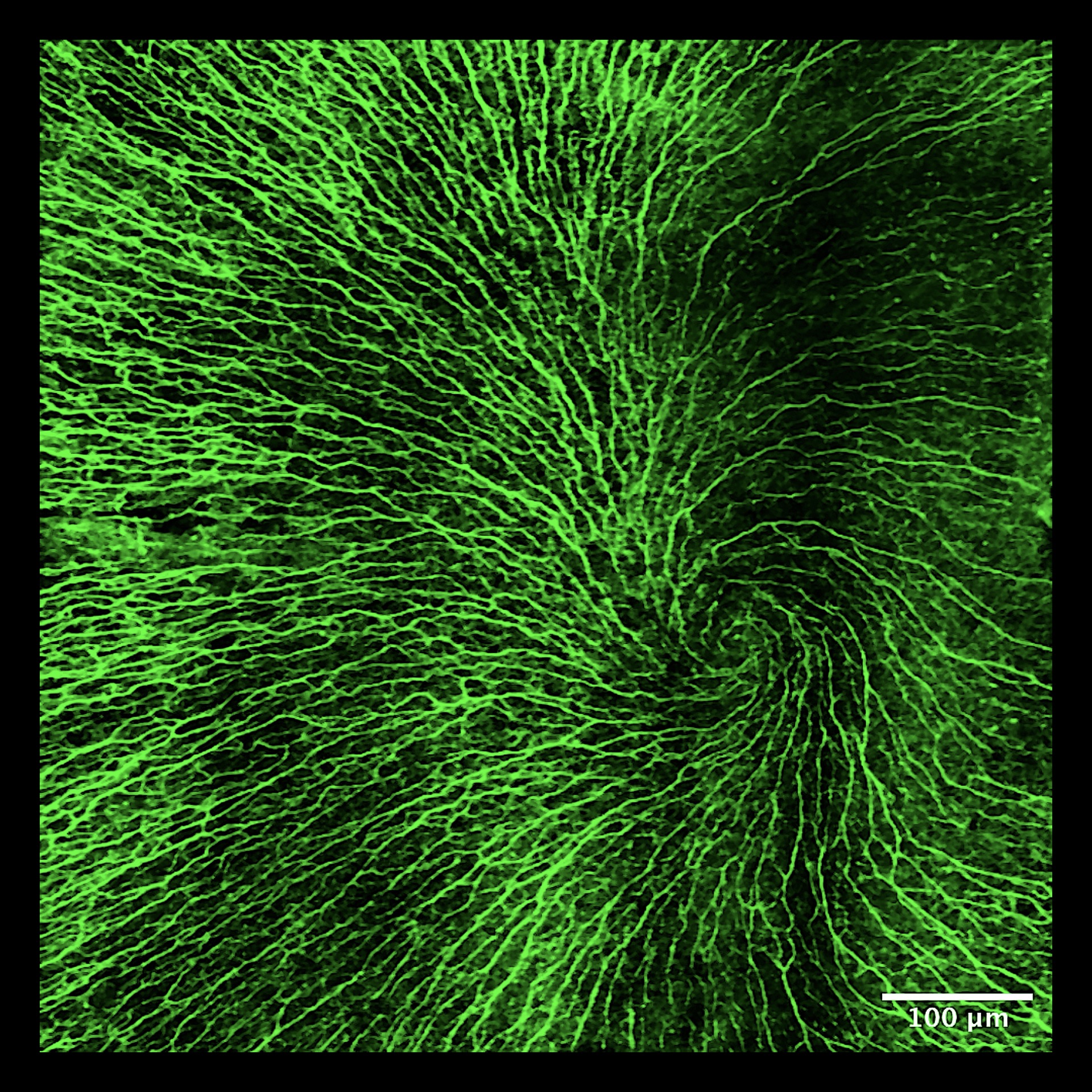 EUDEC - Photo contest 2023