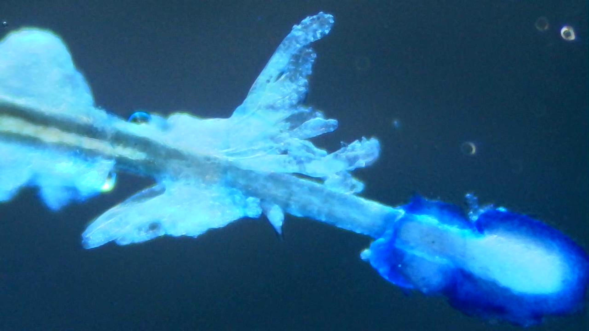 EUDEC - Photo contest 2023